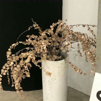 前郭尔罗斯FurryQQ群介绍